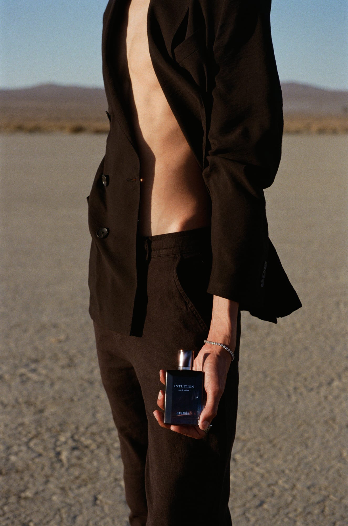 Aramis campaign